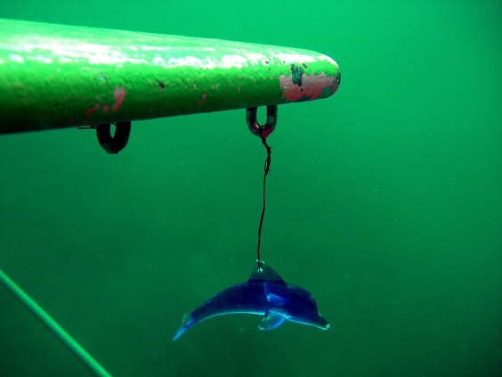 Sundhaeuser See 2010-10-10-17